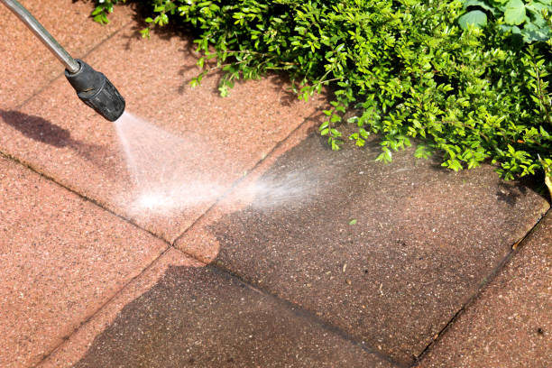 Professional Pressure Washing in Waterloo, IL